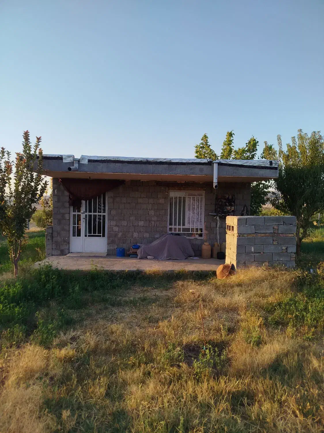 فروش باغ گردو 5700 متری|فروش دفتر صنعتی، کشاورزی، تجاری|شاهین دژ, |دیوار