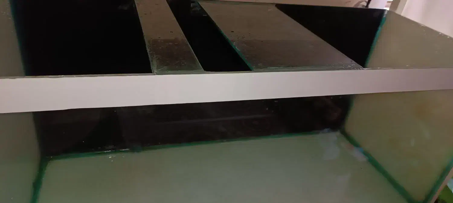 تانک 100*45*40|ماهی|صدرا-فارس, فاز ۲|دیوار