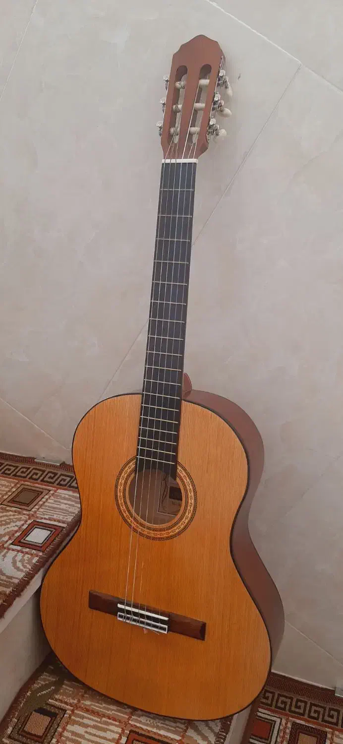 گیتار|گیتار، بیس، امپلیفایر|قم, باغ شریفی|دیوار