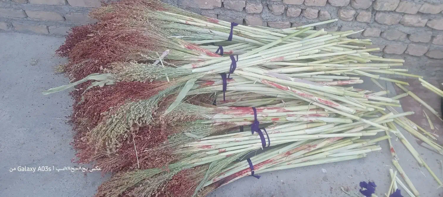 جارو ذراتی|لوازم نظافت|الشتر, |دیوار