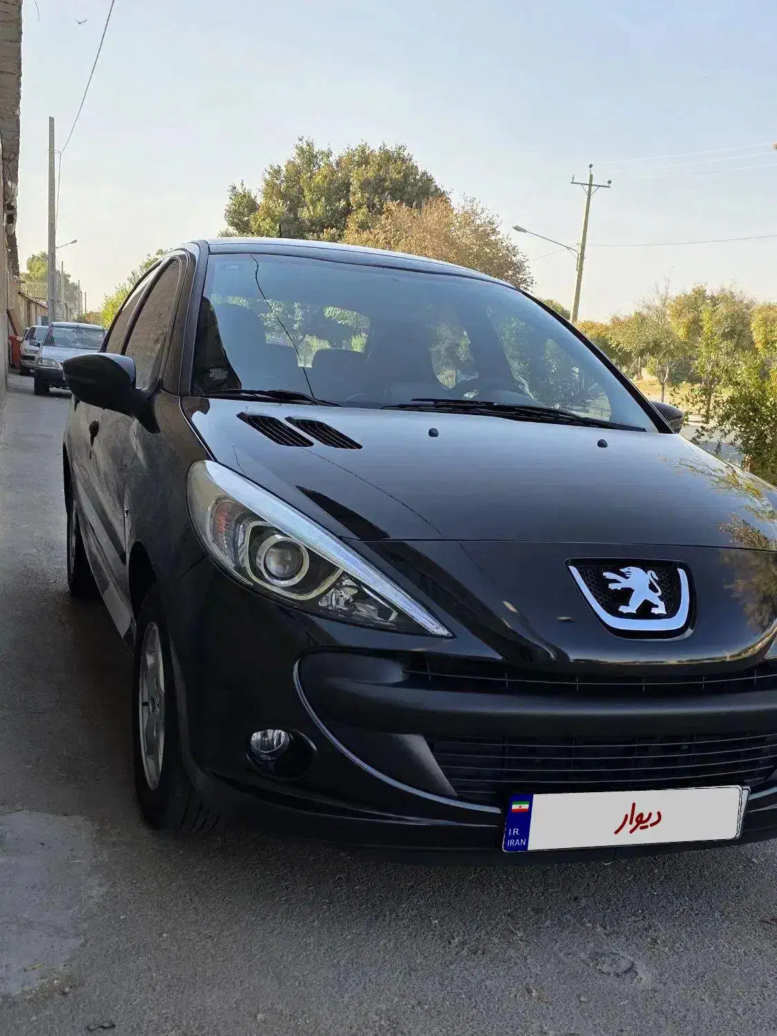 ۲۰۷ پانا مدل ۱۴۰۱|خودرو سواری و وانت|شیراز, سایت اداری|دیوار