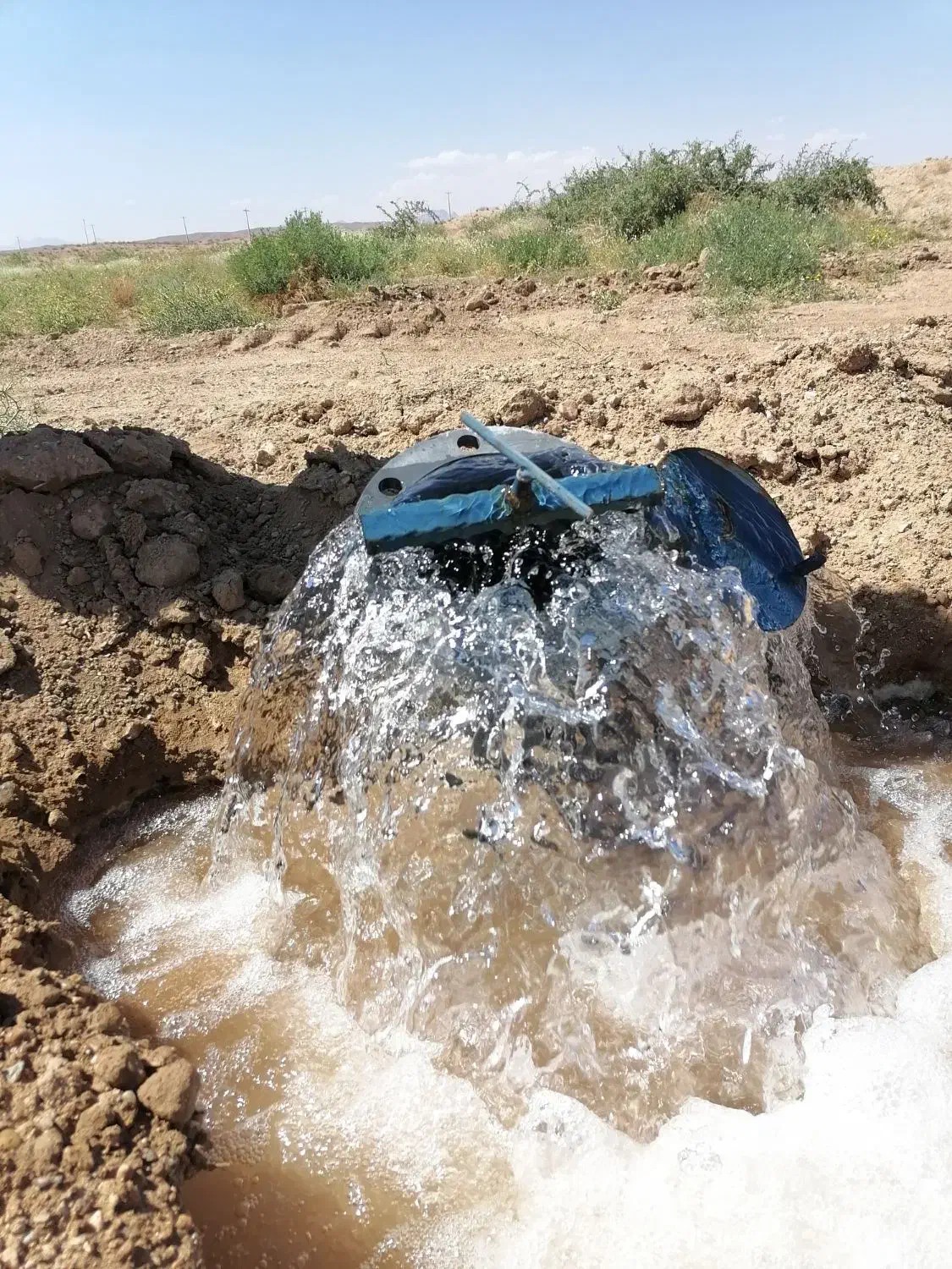 باغ پسته 14 هزارمترمربع|فروش دفتر صنعتی، کشاورزی، تجاری|چاهک, |دیوار