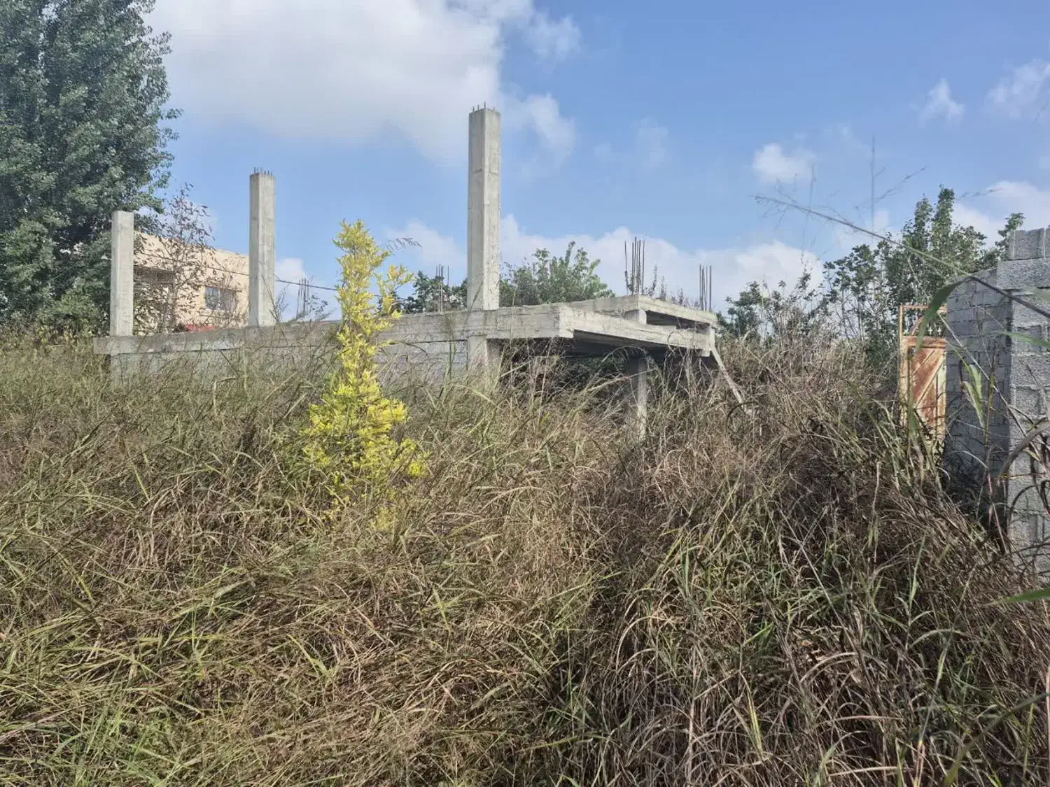 باغ وبلا فروشی|فروش خانه و ویلا|هادی شهر, |دیوار