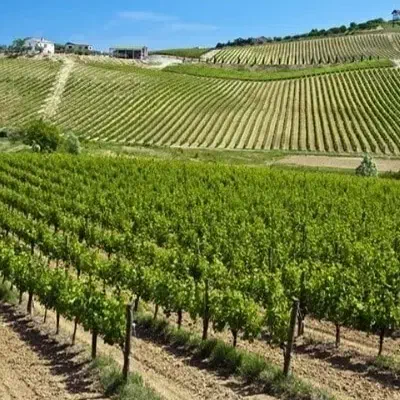 استخدام نگهبان|استخدام سرایداری و نظافت|سنندج, |دیوار