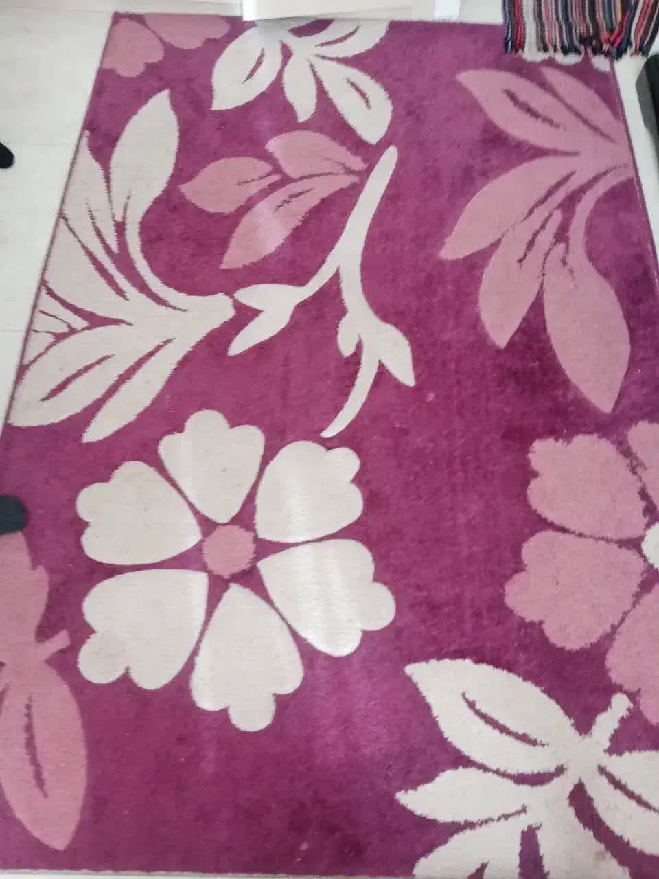 گلیم|گلیم، جاجیم، گبه|مشهد, الهیه|دیوار