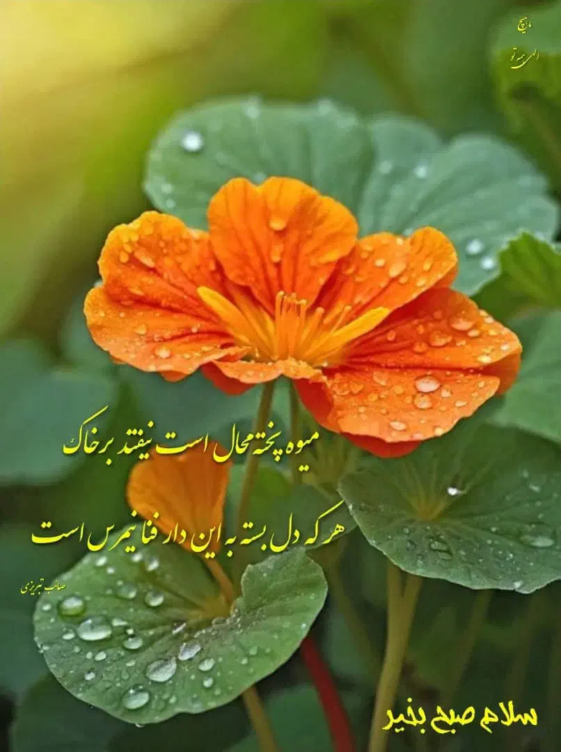 استخدام پرستار خانم برای سالمند خانوم و آقا|استخدام درمانی، زیبایی، بهداشتی|تبریز, |دیوار