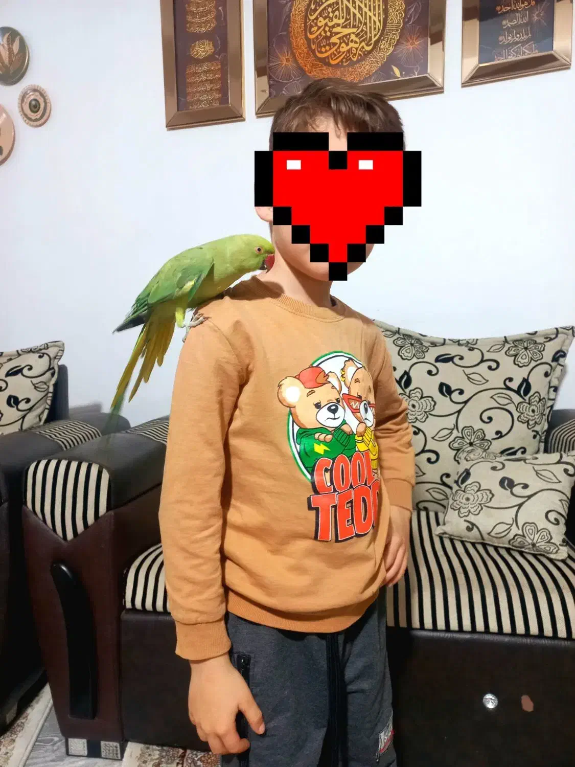 ملنگو نر|پرنده|بازرگان, |دیوار