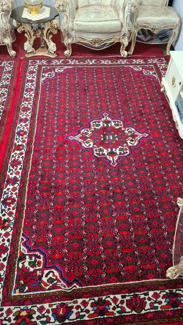 خریدار فرش|فرش|همدان, |دیوار