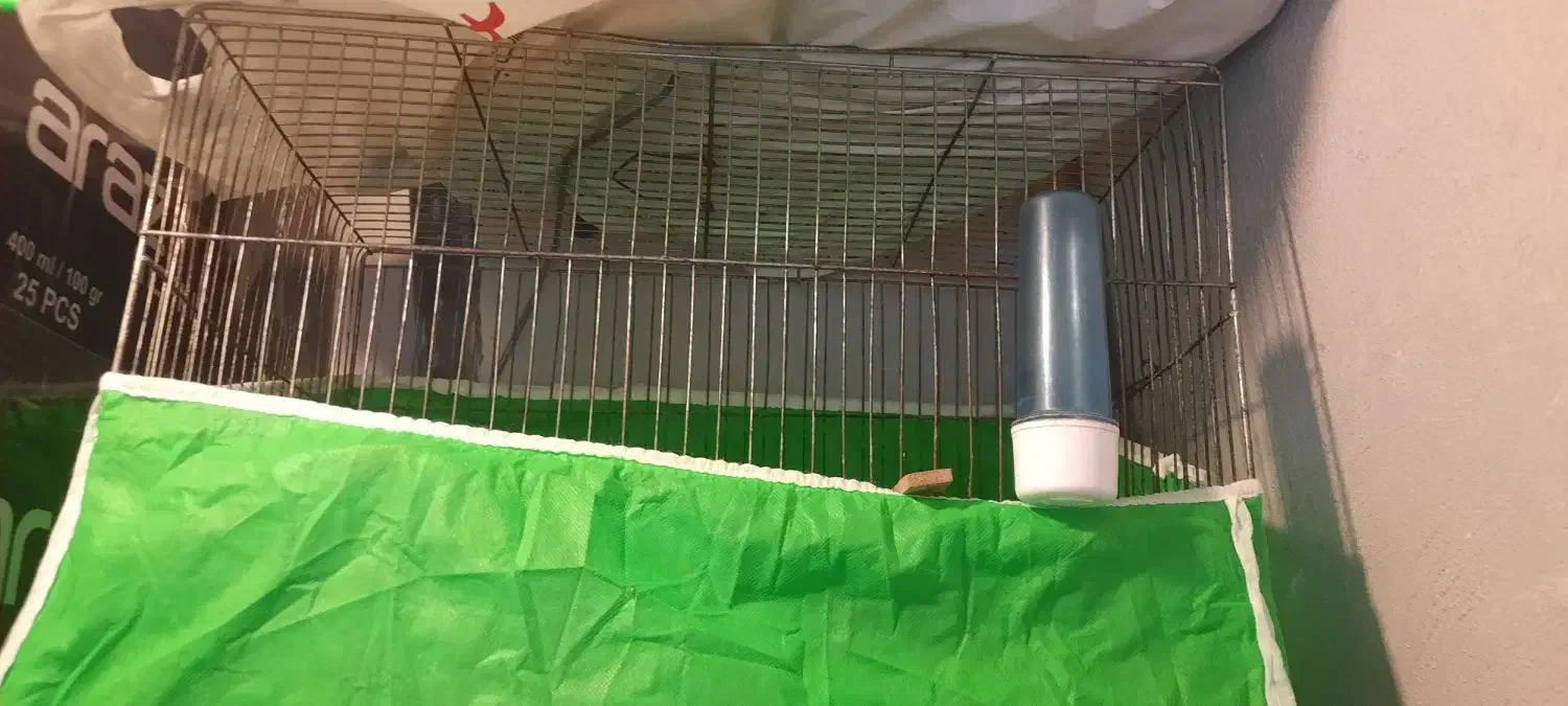 قفس قناری|لوازم جانبی حیوانات|رشت, صفاری|دیوار