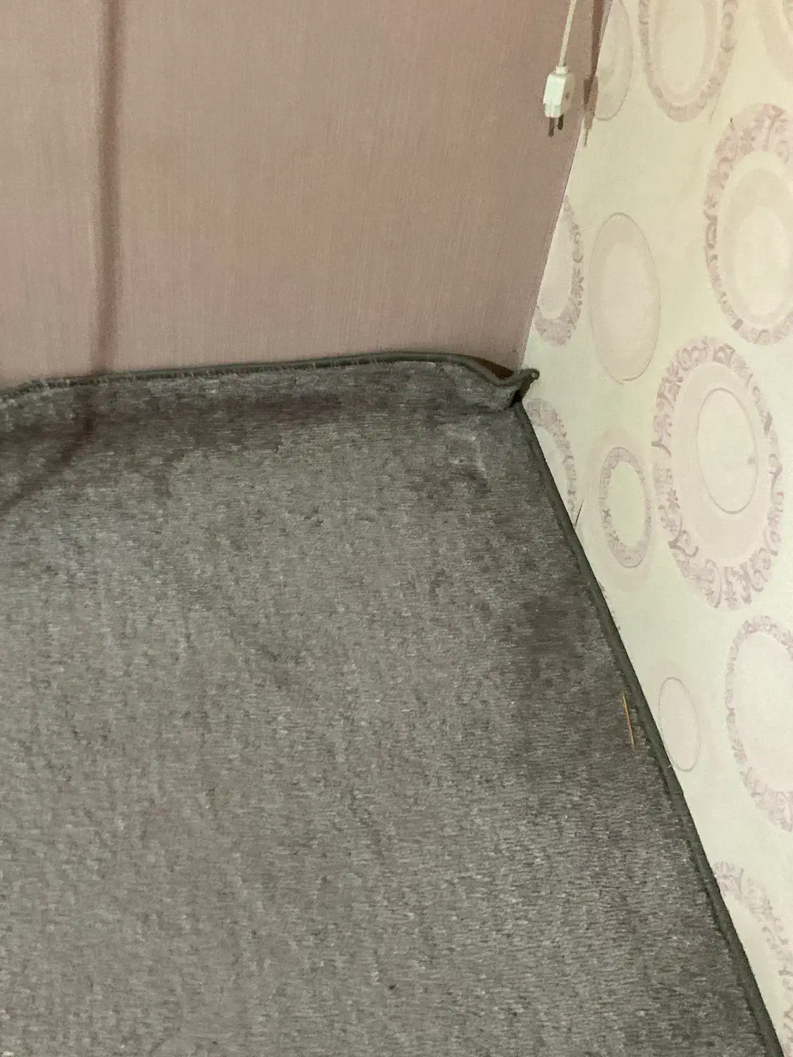 پالاز موکت|موکت|خرم‌آباد, |دیوار