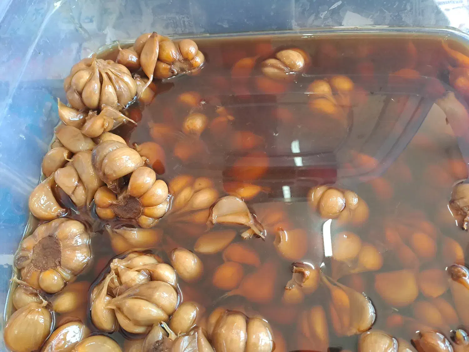 سیر ترشی ارگانیک خانگی ۶ ساله|خوردنی و آشامیدنی|سرعین, |دیوار