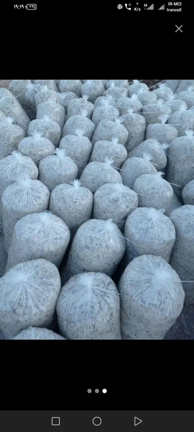 کاه گندم تفاله چغندر تازه بیده پرس... کاه لوبیا|عمده‌فروشی|پاریز, |دیوار