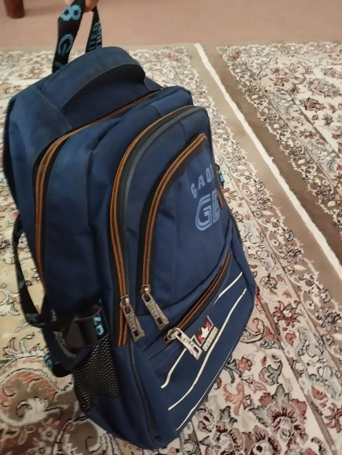 کیف|کیف، کفش، کمربند|گرمسار, |دیوار