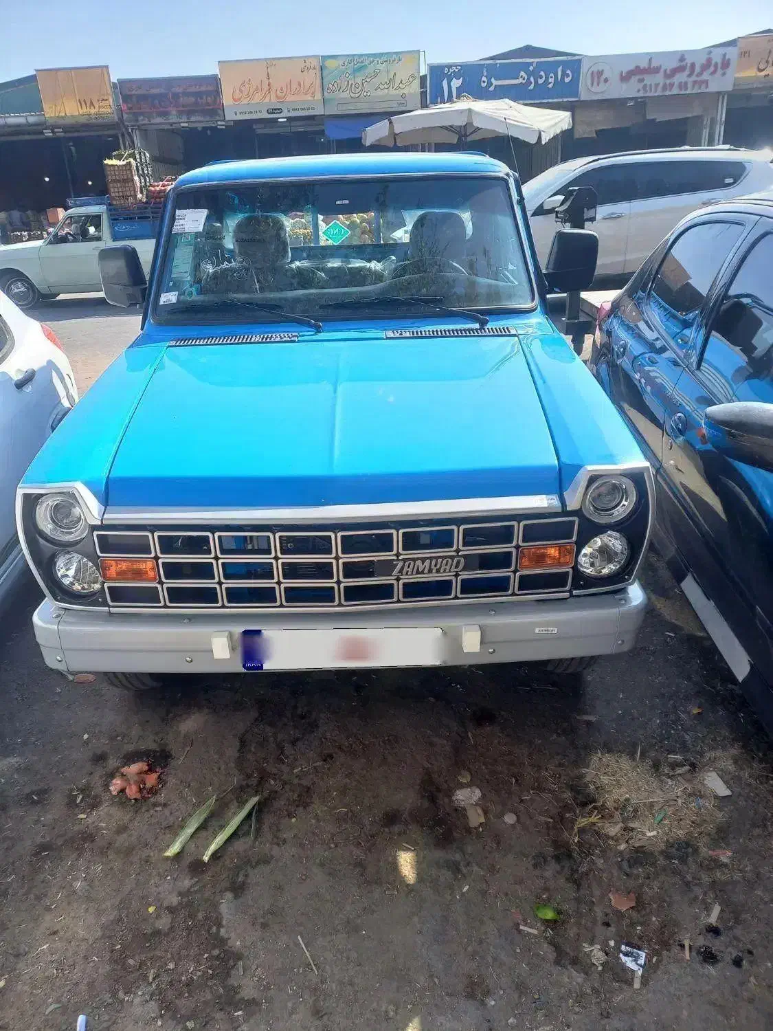 نیسان دوگانه اپشنال رادیال|خودرو سواری و وانت|کرج, نوروزآباد|دیوار