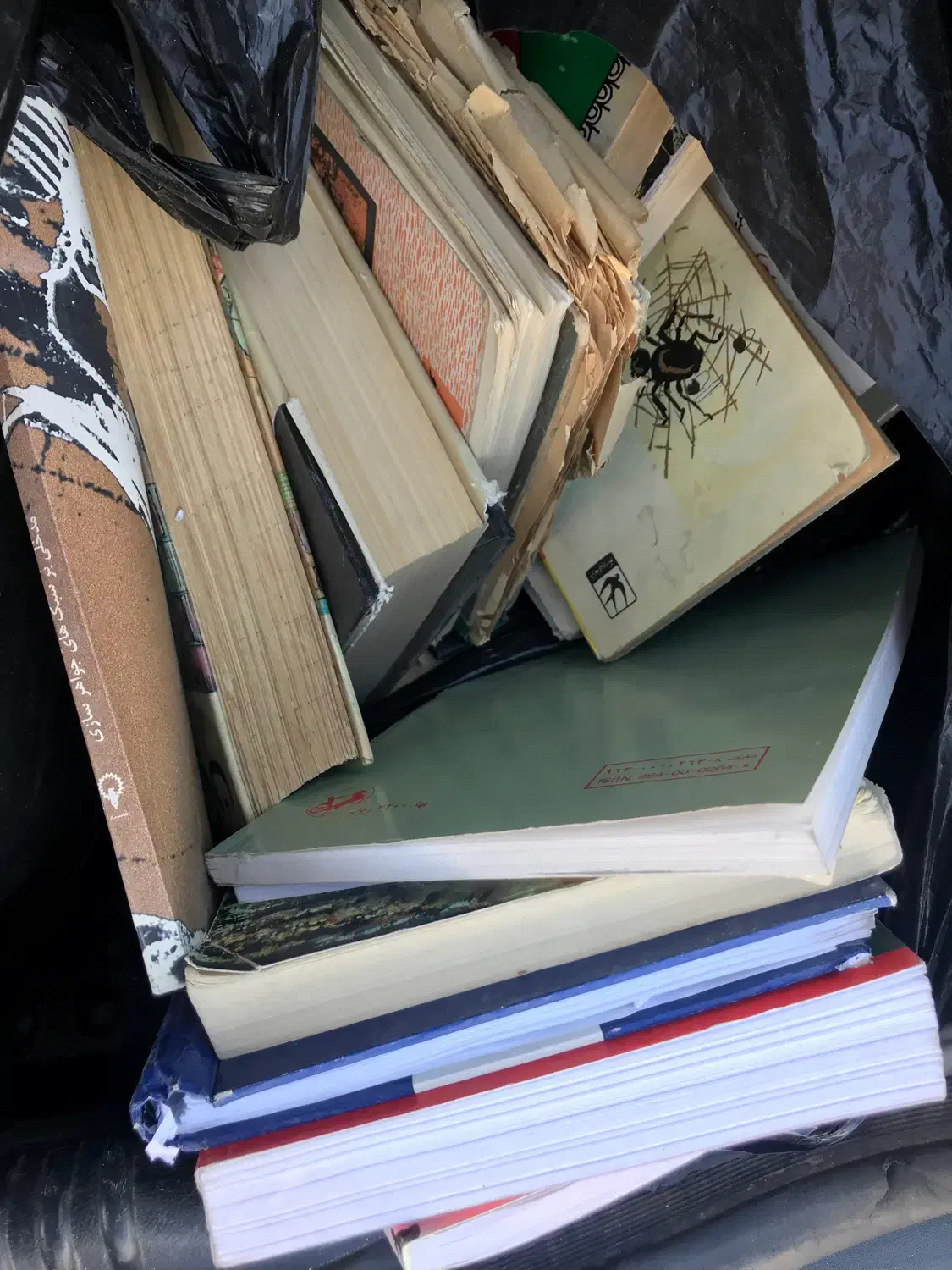 کتاب|کتاب و مجله ادبی|شیراز, میرزاکوچک خان|دیوار