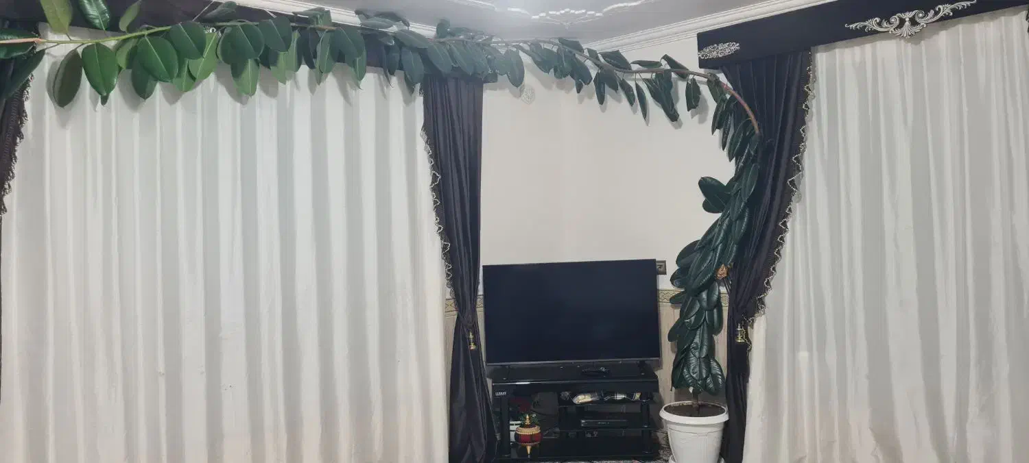 گل گوه فیل|گل و گیاه طبیعی|بانه, |دیوار