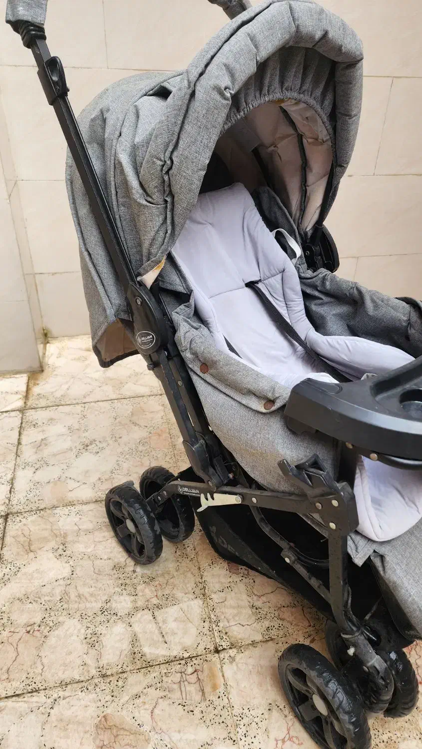 کالسکه دلیجان|کالسکه و لوازم جانبی|رشت, فلسطین|دیوار