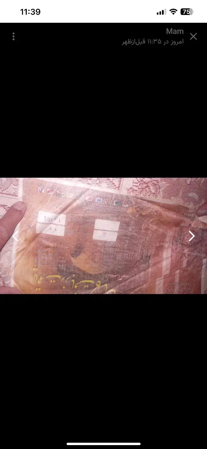 فرش ۶ متری|فرش|مشهد, کوی المهدی|دیوار