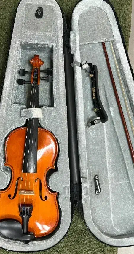 ویولن|ویولن|قزوین, |دیوار