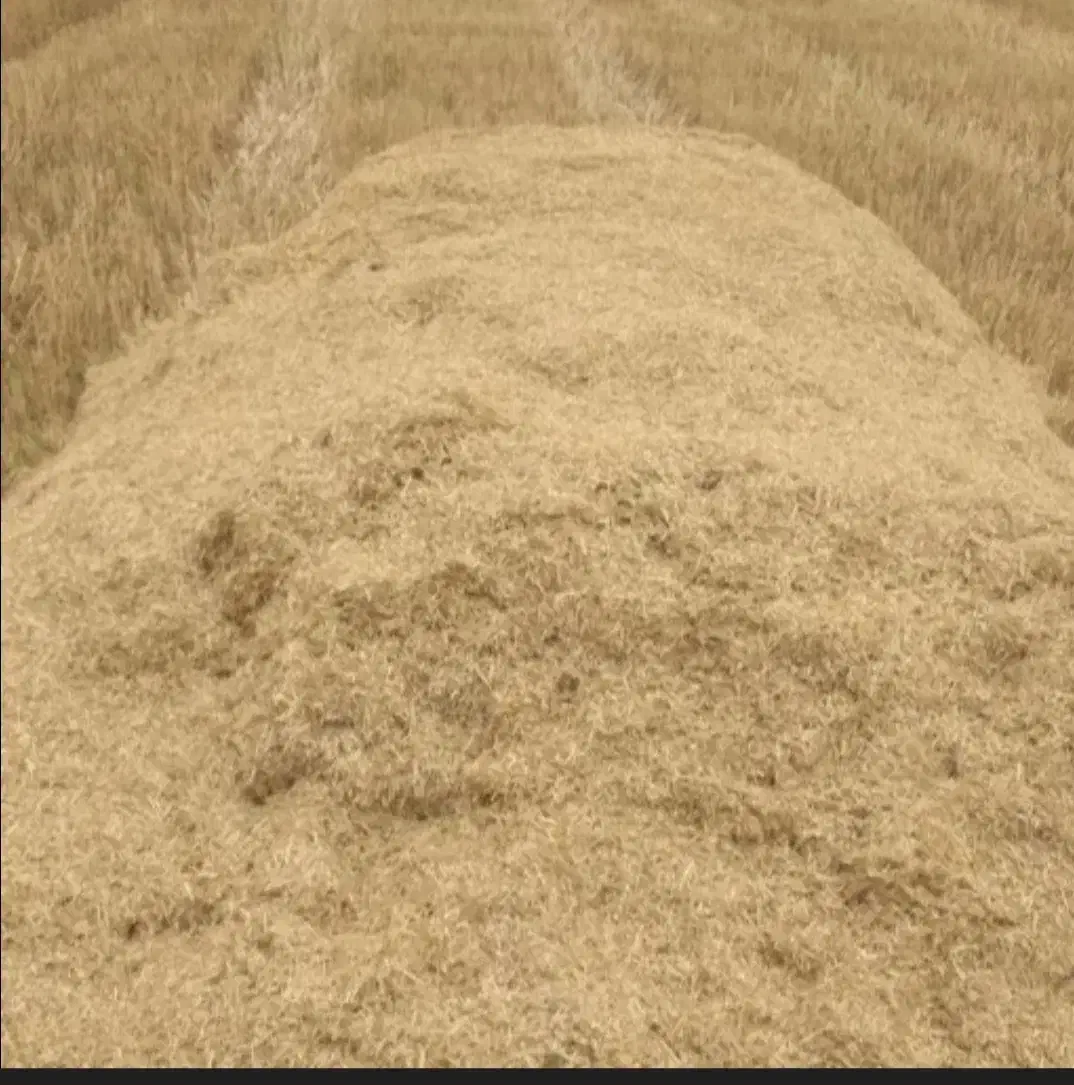 کاه|لوازم جانبی حیوانات|رضویه, |دیوار