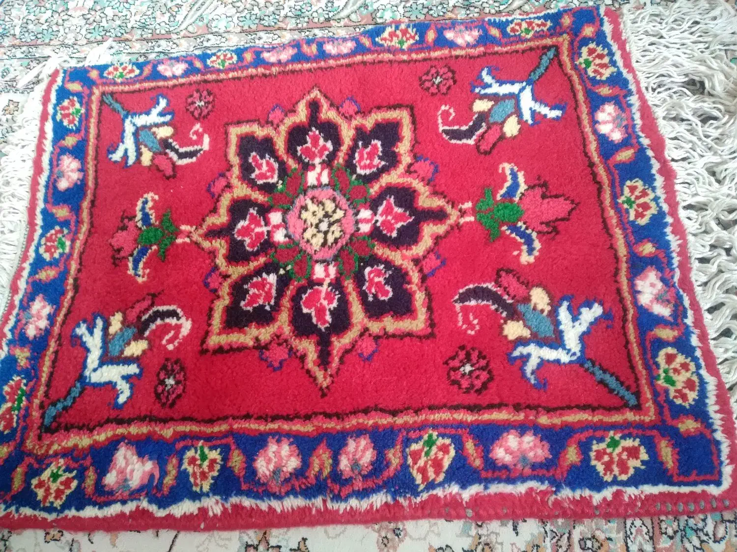 پادری|پادری|تبریز, |دیوار