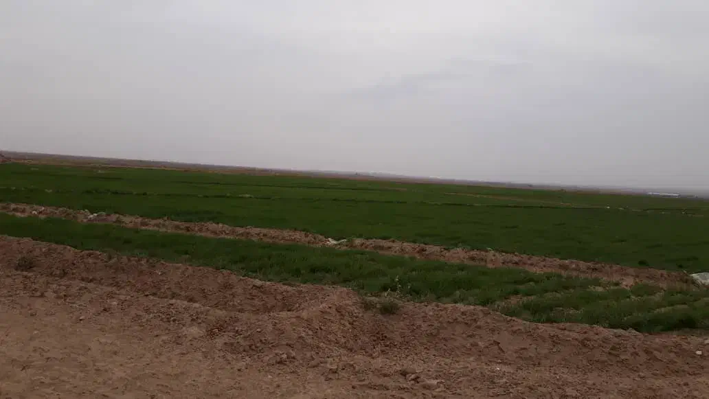 زمین مرغوب زراعی با ی ربع چاه آب|فروش زمین و ملک کلنگی|ایوانکی, |دیوار