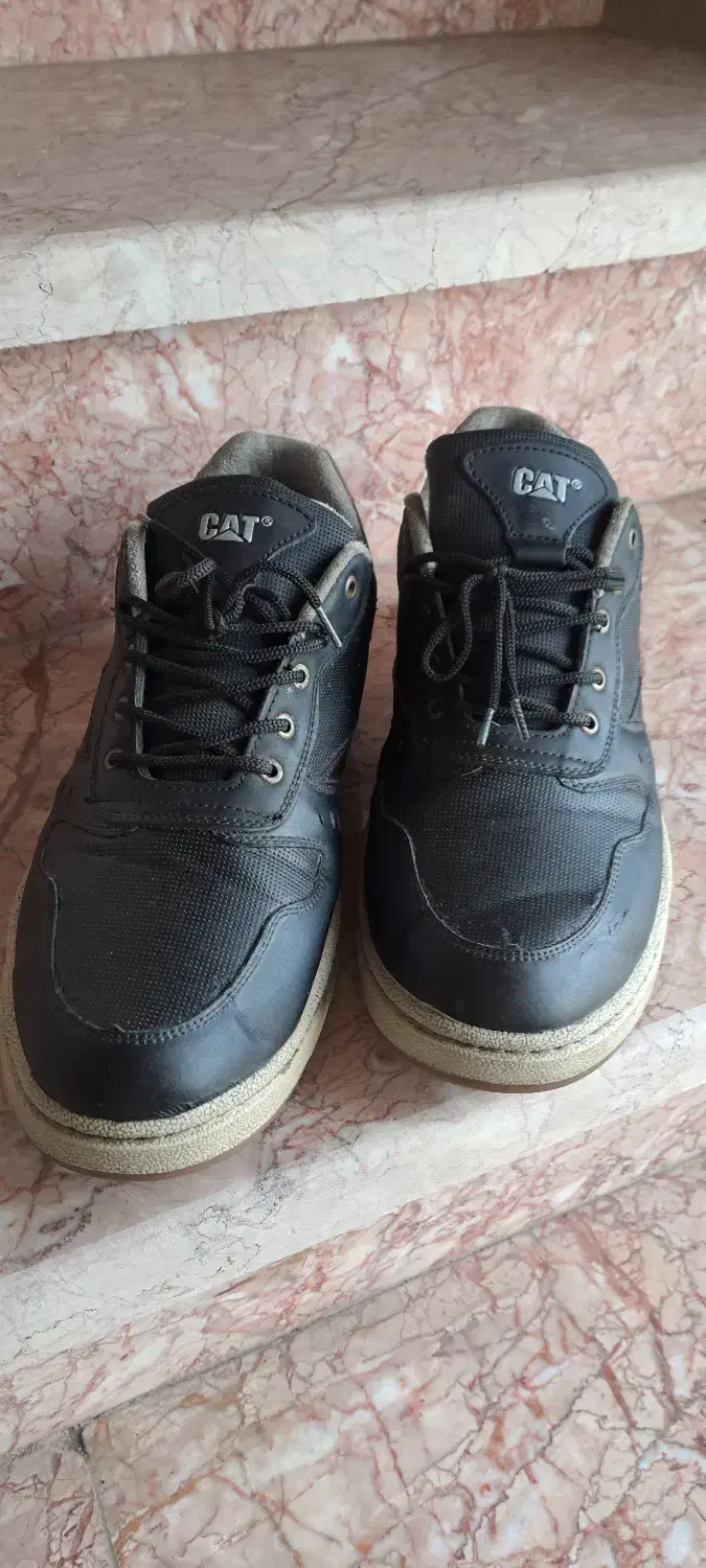 کتانی طبی|کیف، کفش، کمربند|رامسر, |دیوار