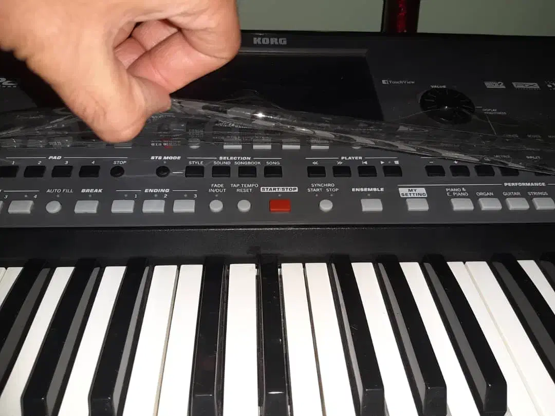 korg pa600 qt|پیانو، کیبورد، آکاردئون|دماوند, گیلاوند|دیوار