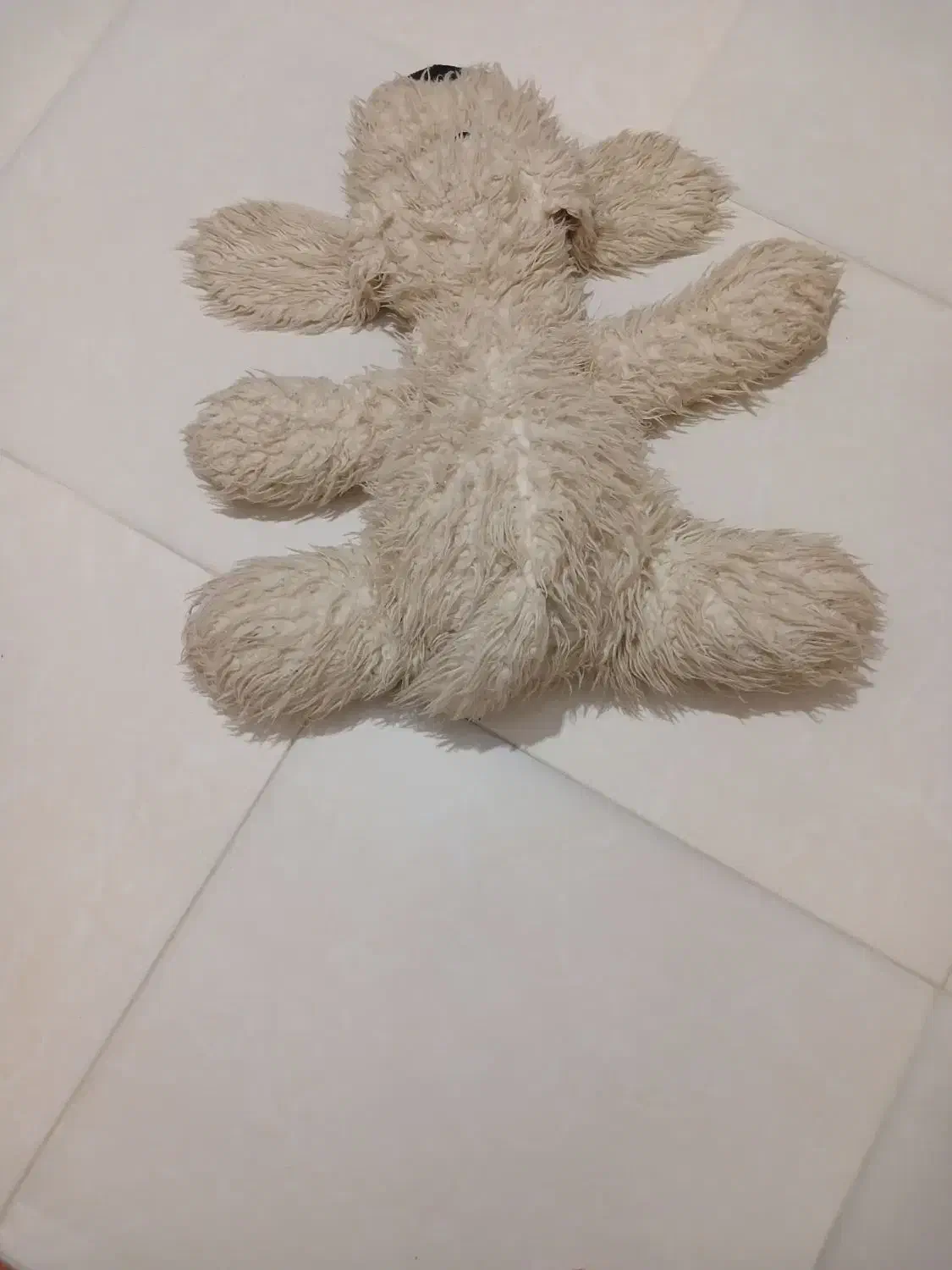 عروسک سگ|اسباب‌‌بازی|ساری, |دیوار