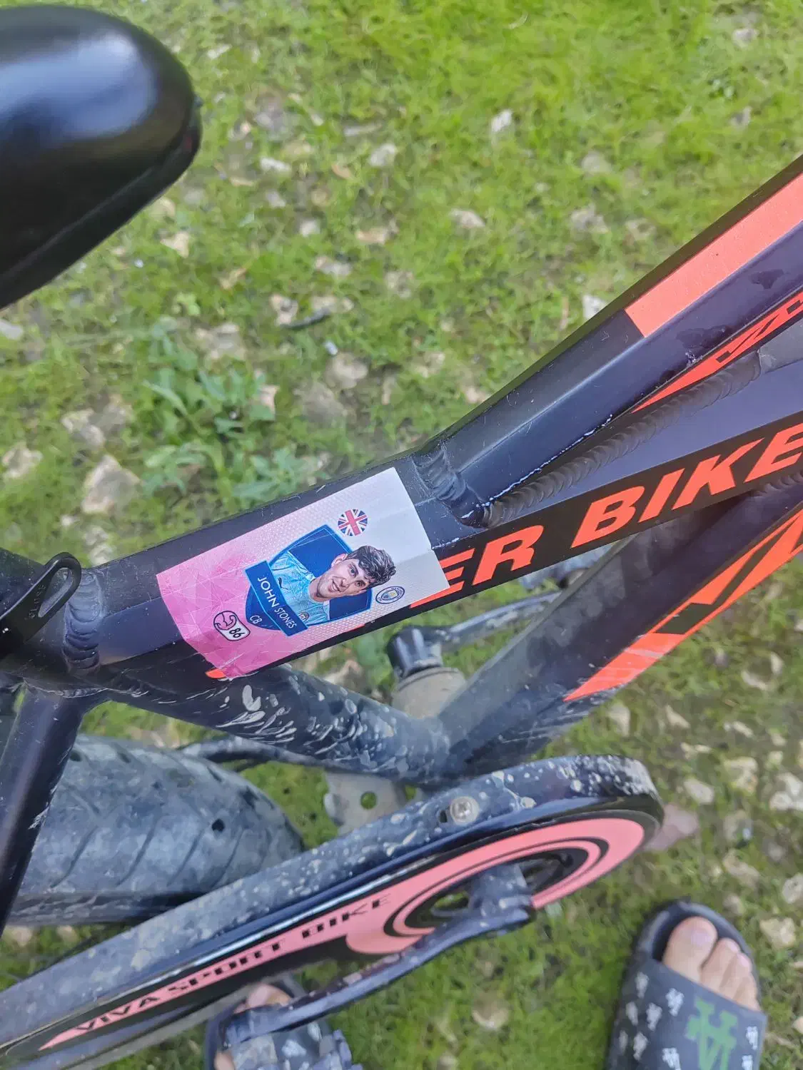 فروش دچرخه|دوچرخه، اسکیت، اسکوتر|کوهی‌خیل, |دیوار