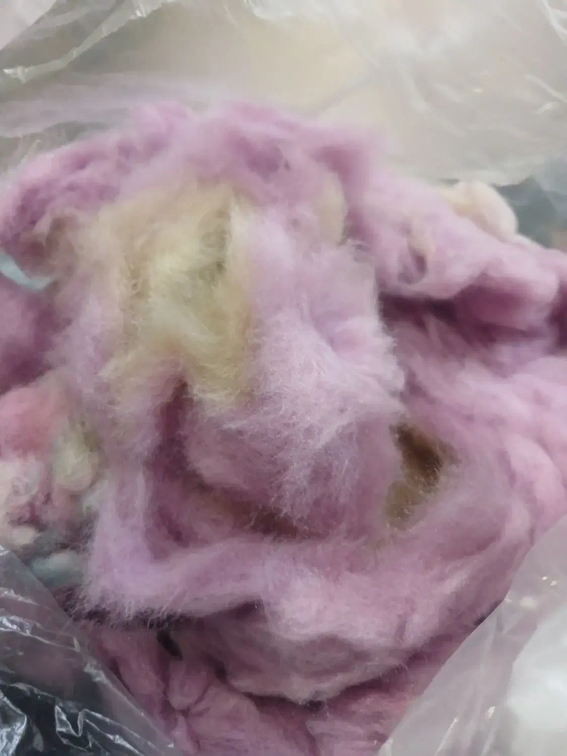 پرزپتو|رختخواب، بالش، پتو|ساوه, |دیوار