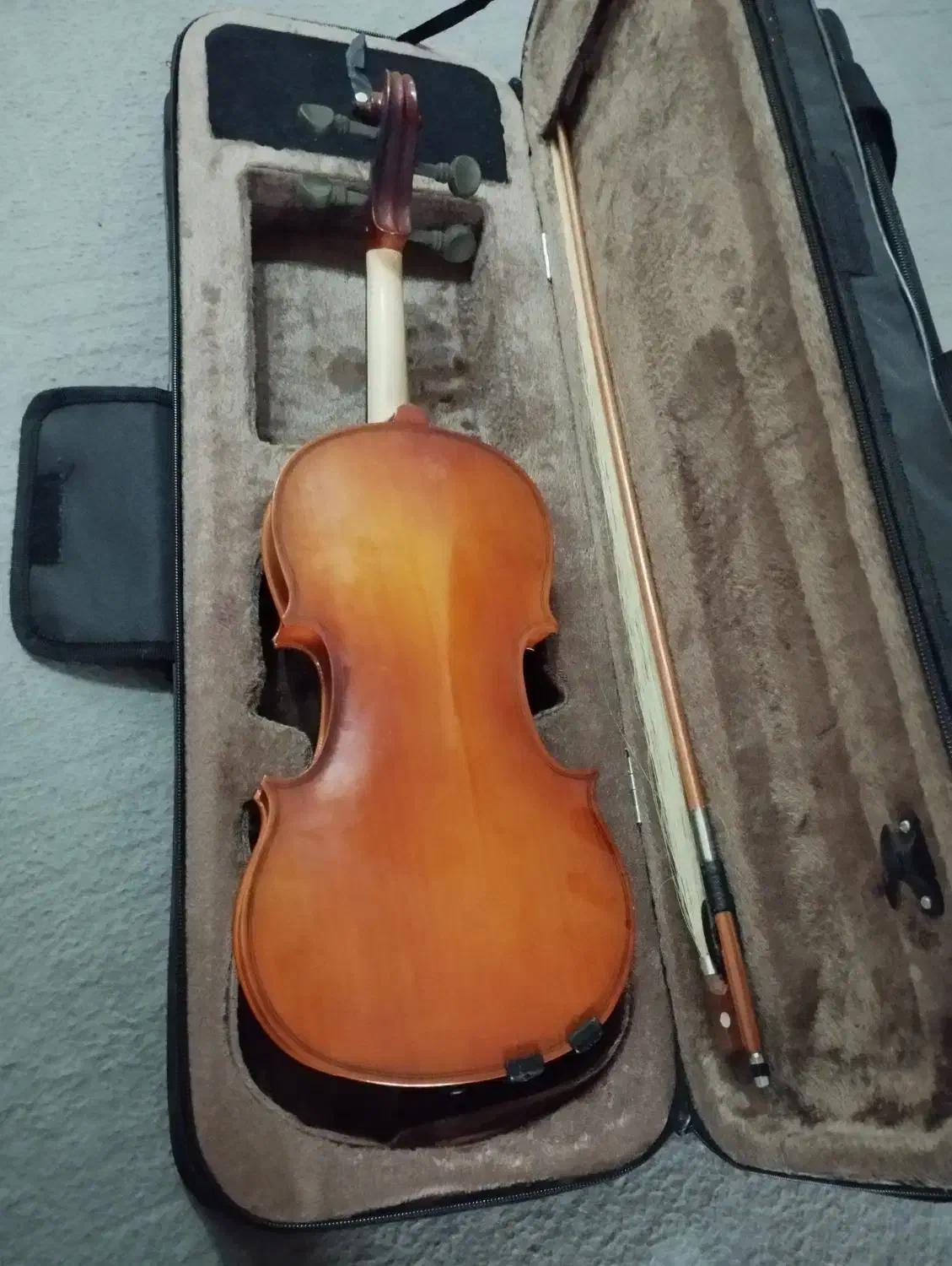 ویالون نو استفاده نشده|ویولن|آستارا, |دیوار