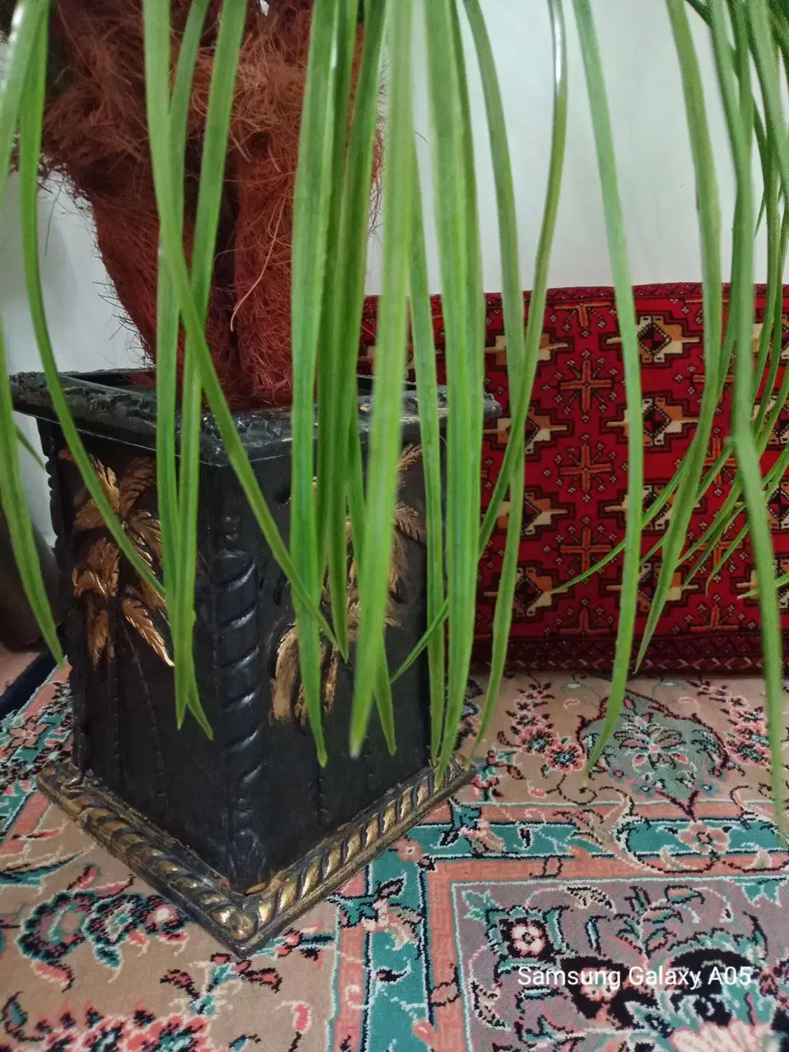 نخل مصنوعی|گل مصنوعی|قوچان, |دیوار
