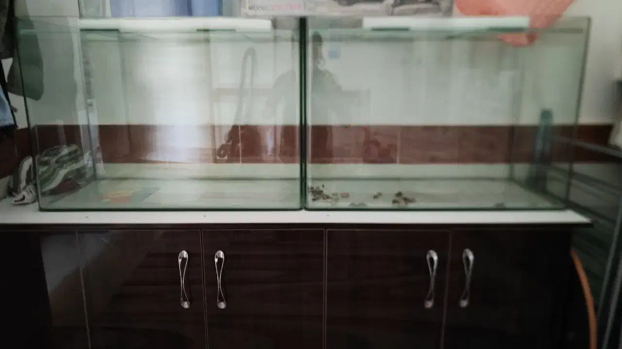 فروش اکواریوم|ماهی|ضیاء آباد, |دیوار