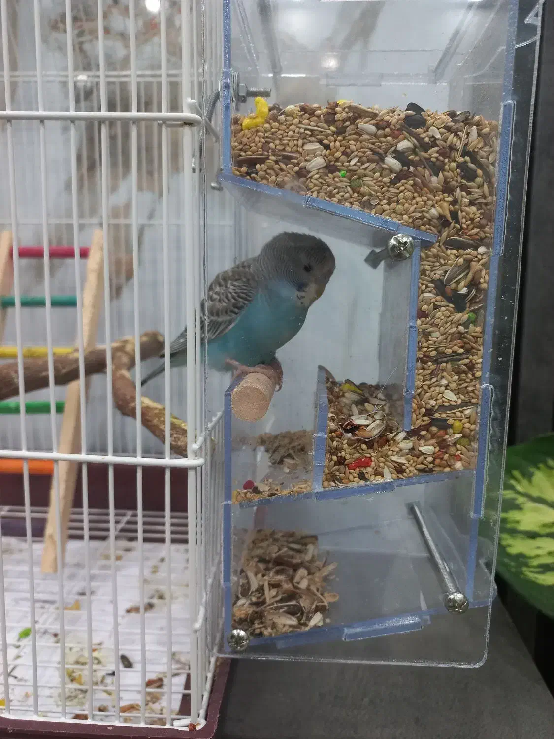 جا غذایی مکانیزه|لوازم جانبی حیوانات|اهواز, کیانشهر|دیوار