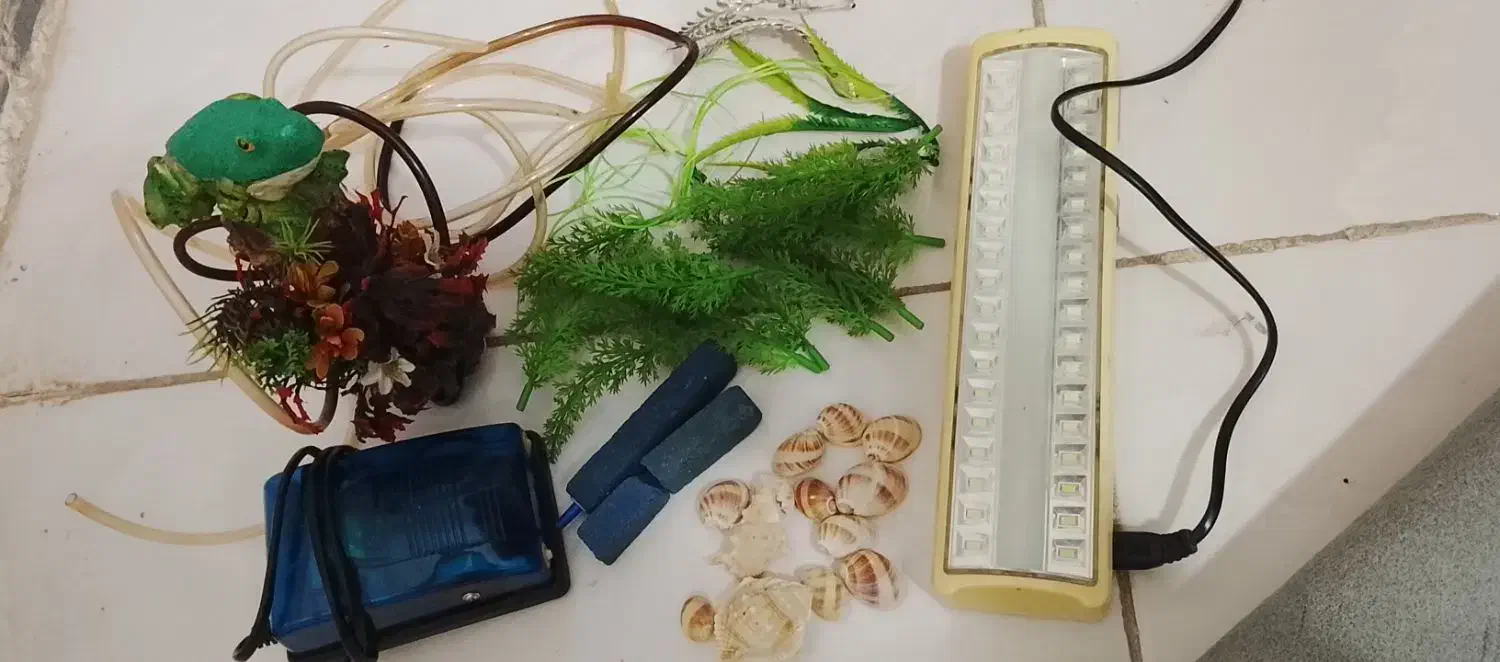 شن وسنگ اکواریوم|ماهی|ملایر, |دیوار