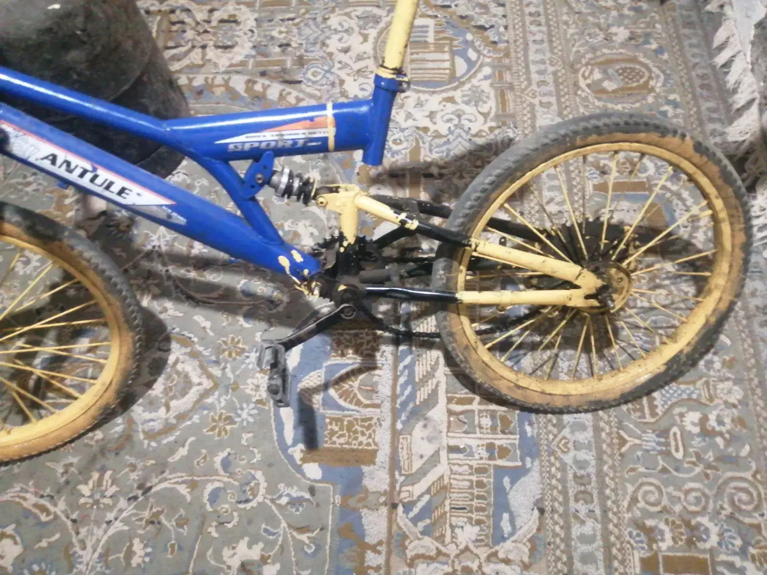 دوچرخه|دوچرخه، اسکیت، اسکوتر|میناب, |دیوار