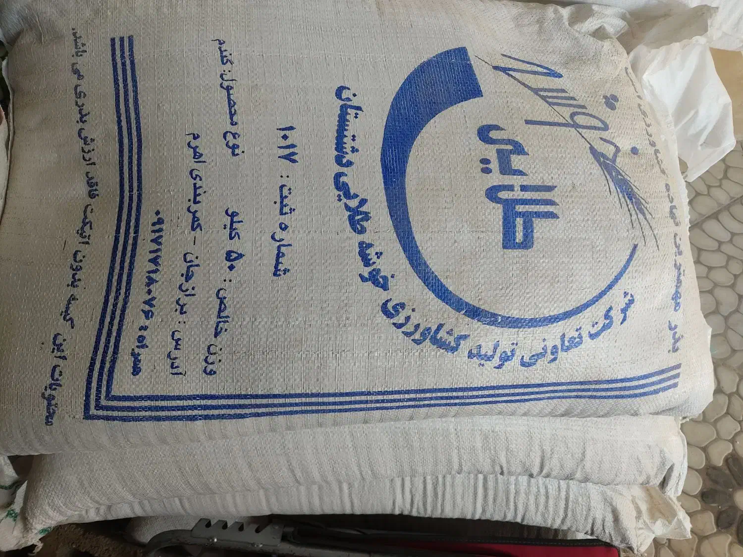 بذر گندم مهرگان|عمدهفروشی|برازجان, |دیوار