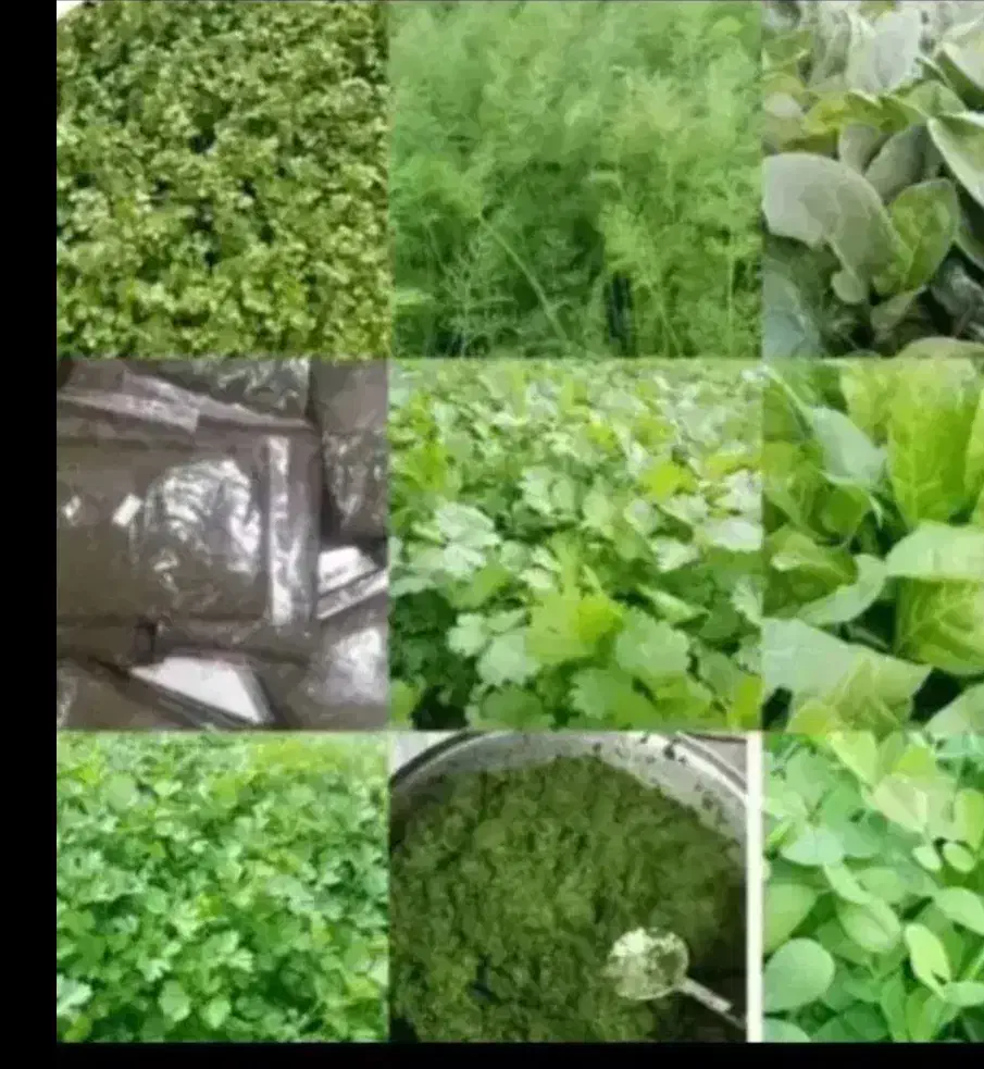 ۰۹۸۹۰۱۰۳۹۷۶۰۵|سیم‌کارت|شوشتر, |دیوار