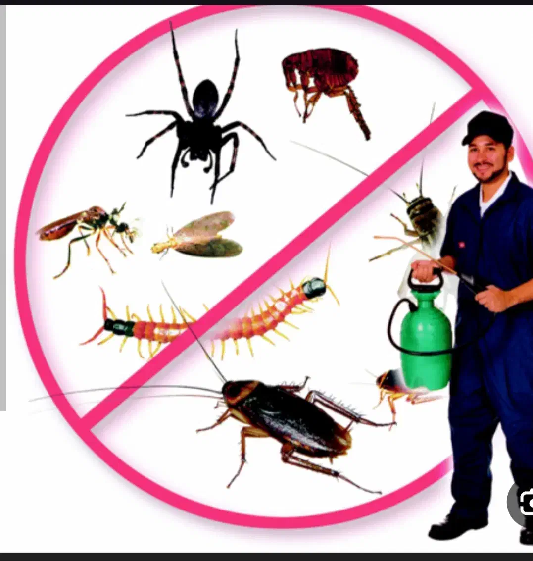 سم پاشی|خدمات نظافت|اندیشه, اندیشه فاز ۱|دیوار