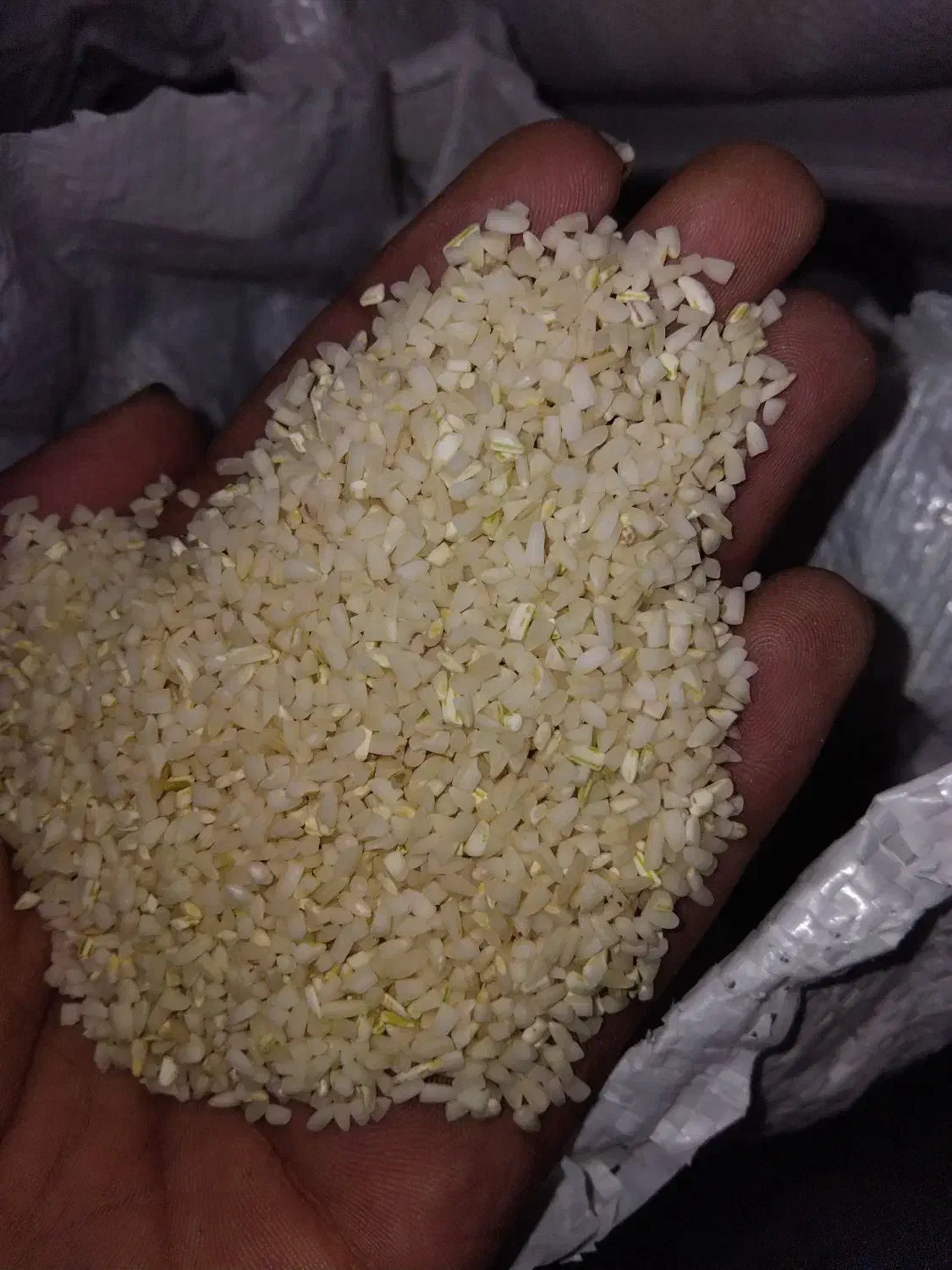 برنج نیم دونه صدری بهترین|خوردنی و آشامیدنی|زنجانرود, |دیوار