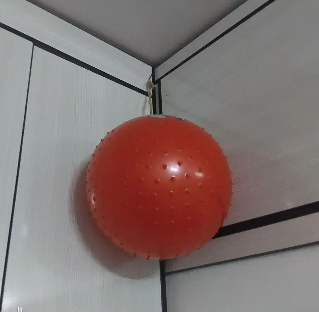 توپ بازی|ورزش‌های توپی|بیرجند, |دیوار