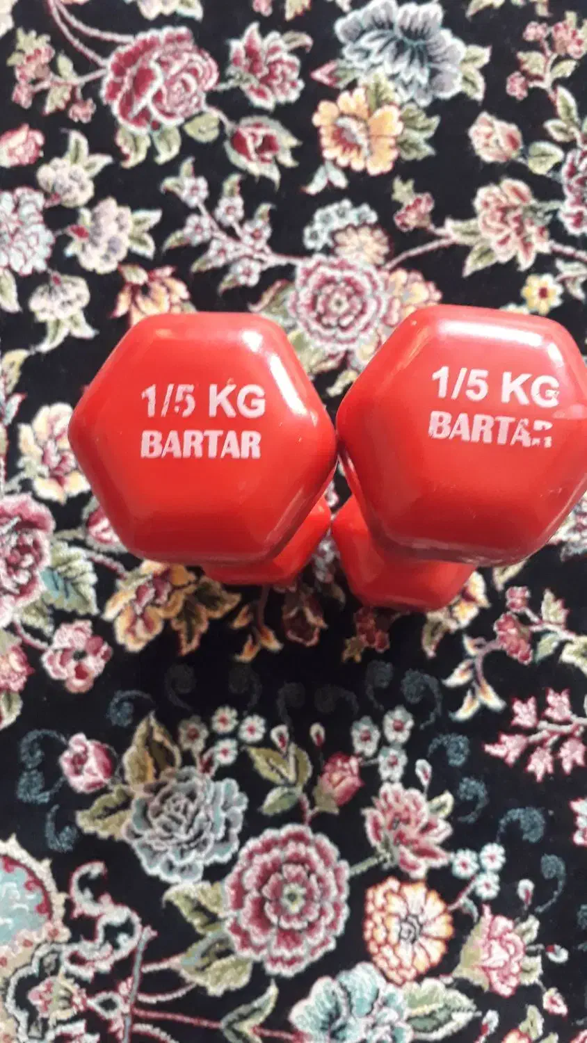 دمبل یک ونیم کیلوگرم|تجهیزات ورزشی|قروه, |دیوار