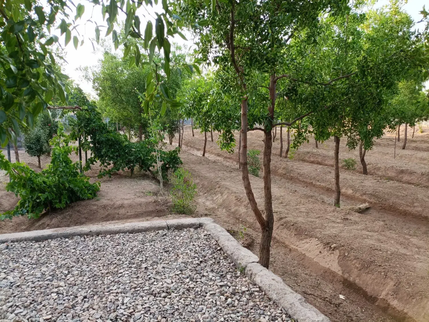 باغ ویلا ۱۱۰۰ متری واقع در تقاب|فروش خانه و ویلا|خوسف, |دیوار