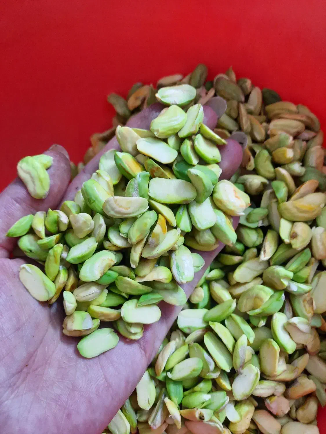 فروش خلال پسته خانگی و خلال بادام اصل|خوردنی و آشامیدنی|لاهیجان, حزین|دیوار