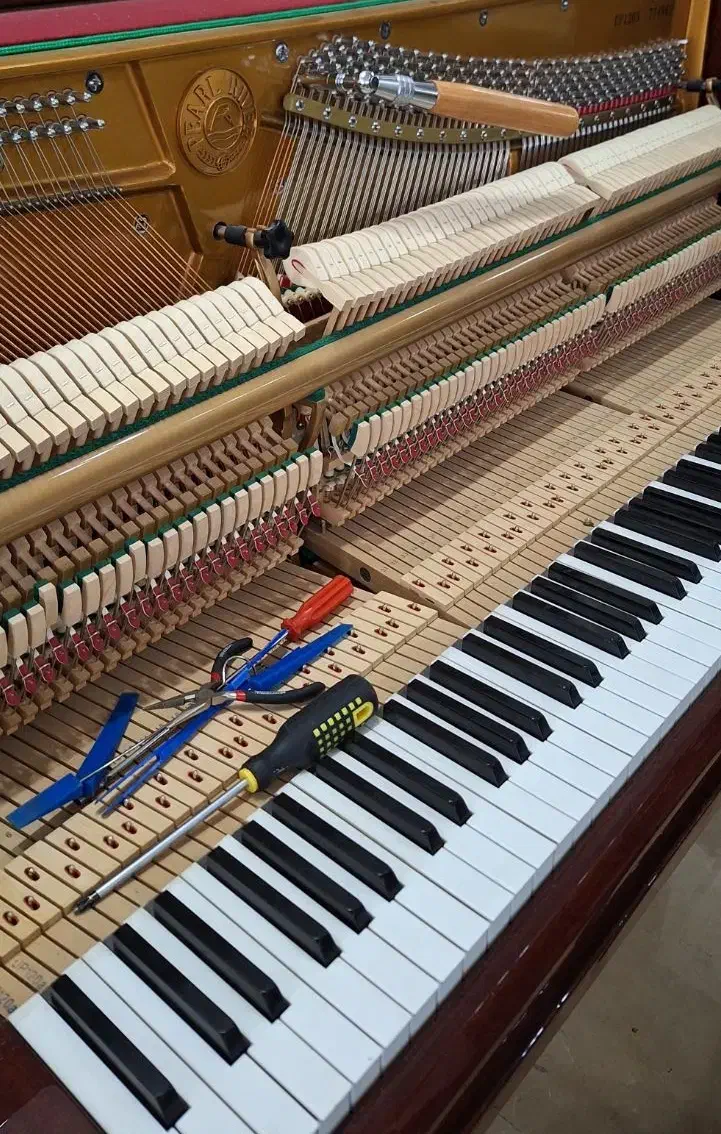 کوک و رگلاژ پیانو|پیانو، کیبورد، آکاردئون|مشهد, هفت تیر (حافظ)|دیوار