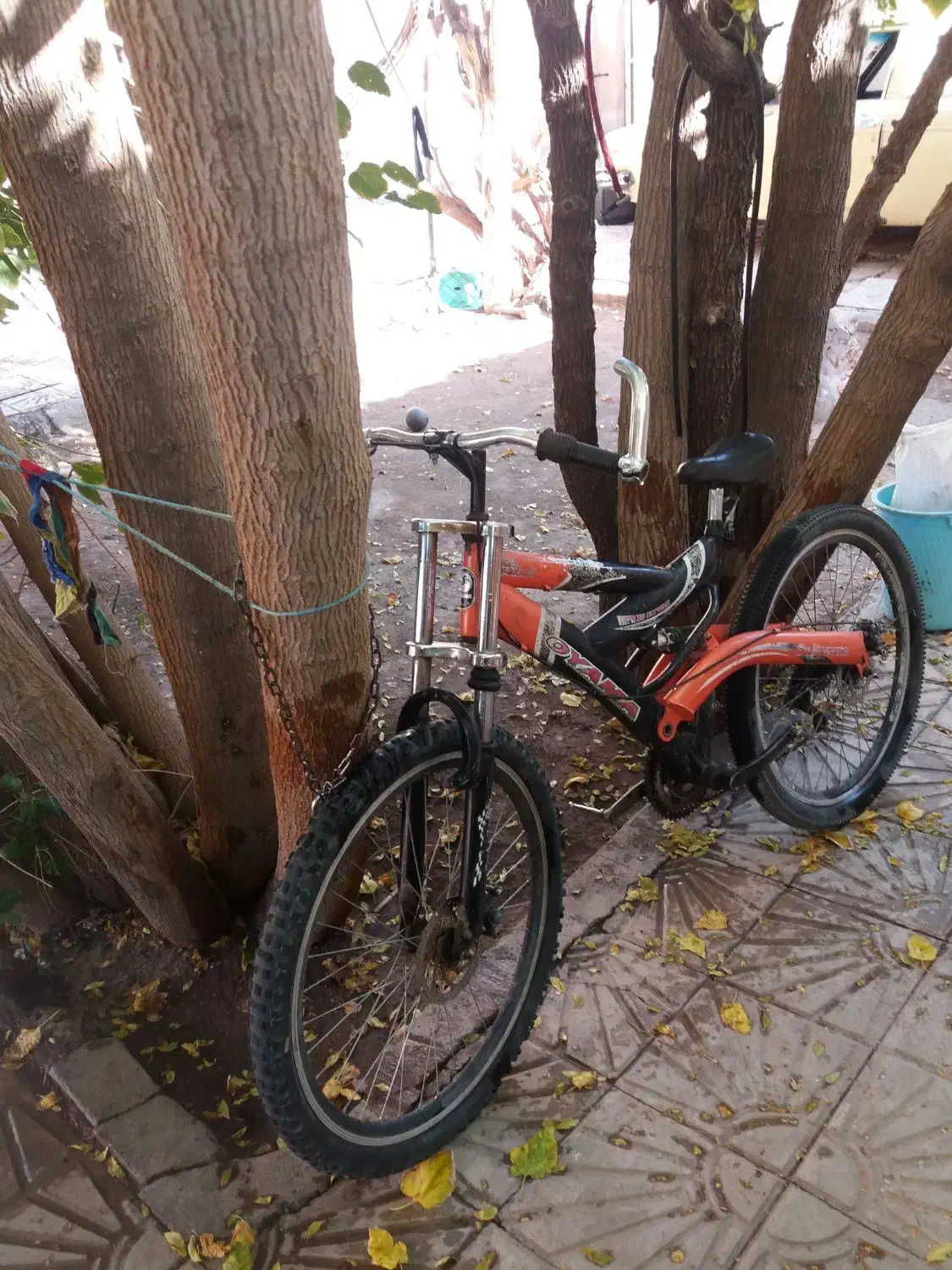 دوچرخ|دوچرخه، اسکیت، اسکوتر|بروجن, |دیوار