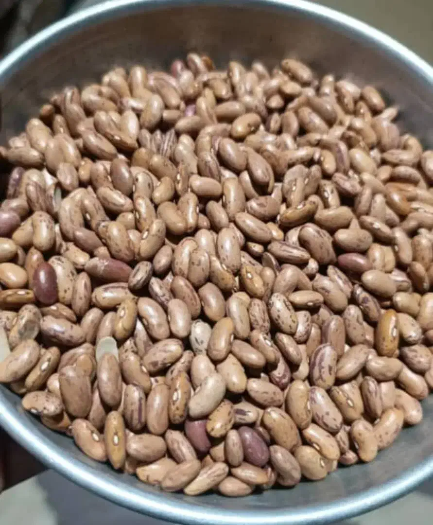 برنج و خرده برنج و حبوبات|خوردنی و آشامیدنی|شیراز, ماه فیروزان|دیوار