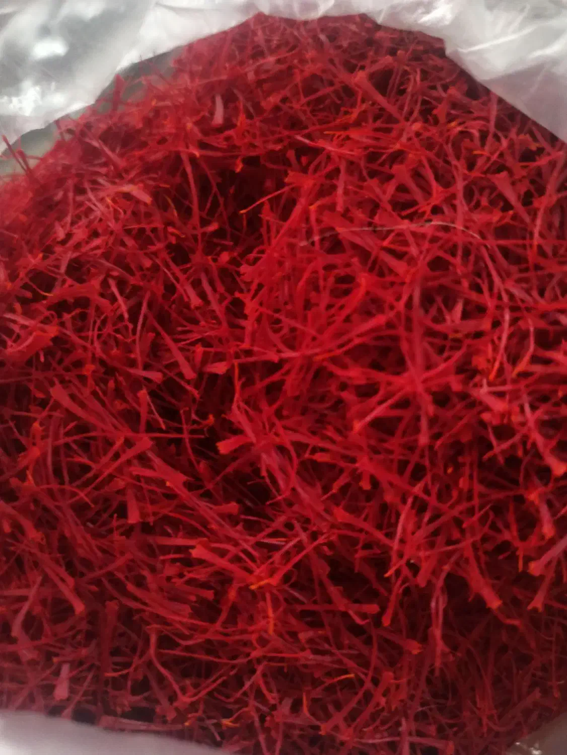 فروش زعفران نگین پرسی|عمده‌فروشی|تربت‌حیدریه, آغوی|دیوار