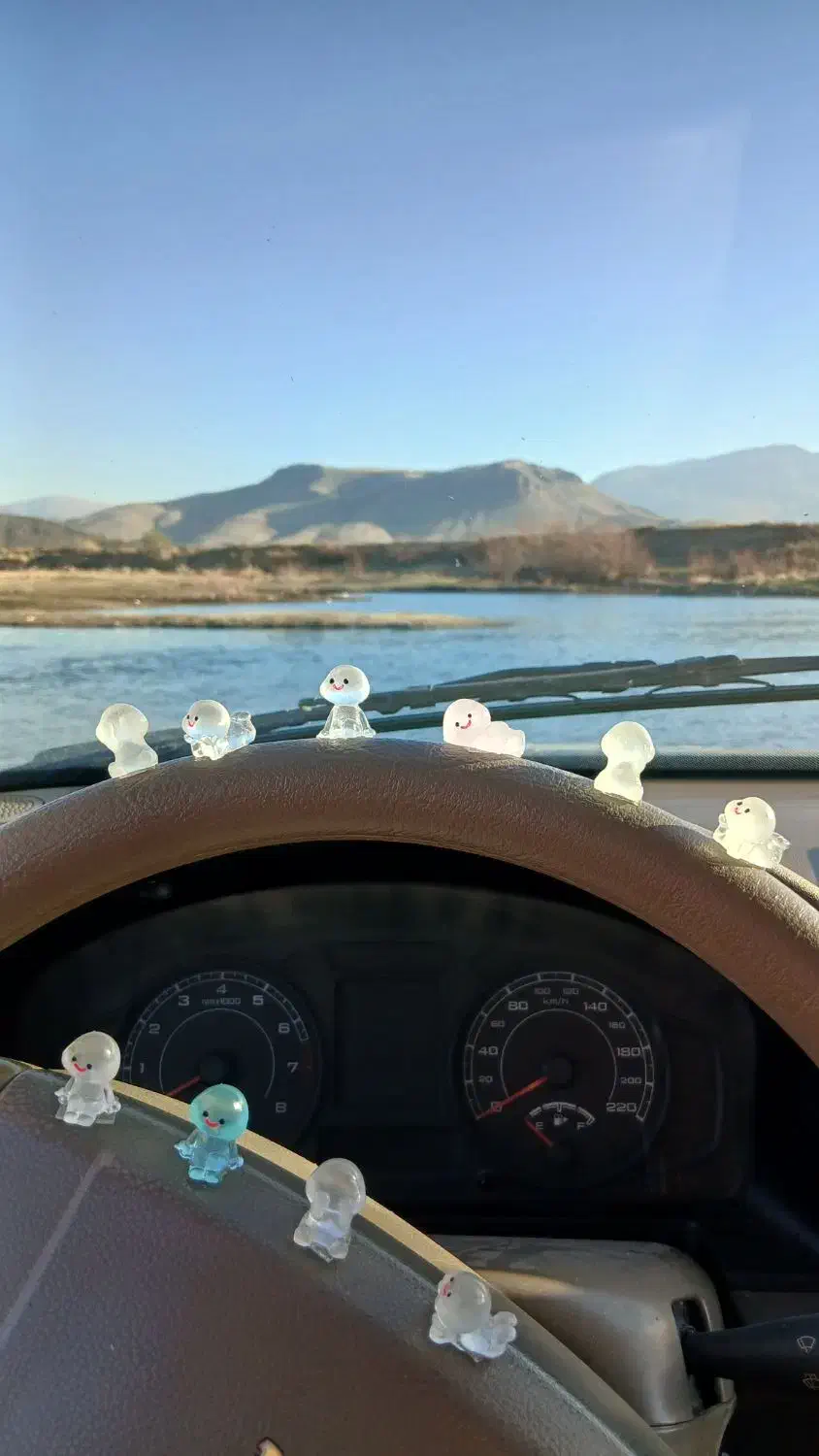 فینگولیا|کلکسیون و سرگرمی|کرمانشاه, |دیوار